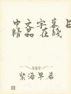 中文字幕 日韩精品 在线