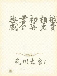 与君初相识电视剧全集免费观看