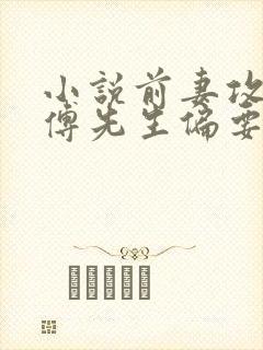 小说前妻攻略:傅先生偏要宠我免费阅读封面