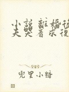 小说 离婚后前夫哭着求复婚