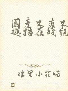 国产又爽又黄无遮挡在线观点封面