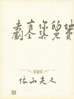 去有你的地方短剧全集免费观看