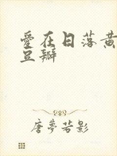 爱在日落黄昏时豆瓣