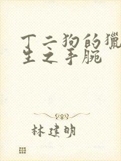 丁二狗的猎艳人生之手腕