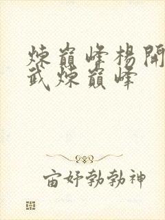 炼巅峰杨开小说武炼巅峰