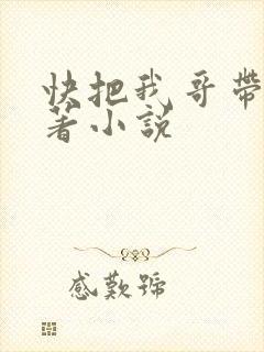 快把我哥带走原著小说