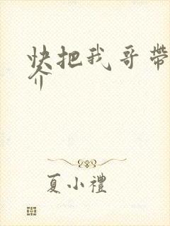 快把我哥带走简介