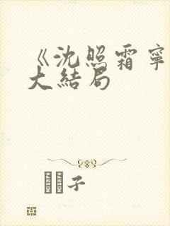 《沈照霜宁砚》大结局