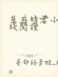 万历明君小说在线阅读