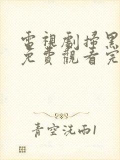 电视剧扫黑风暴免费观看完整版高清