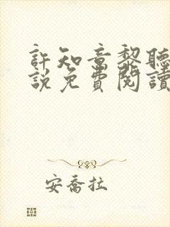 许知意黎听风小说免费阅读封面