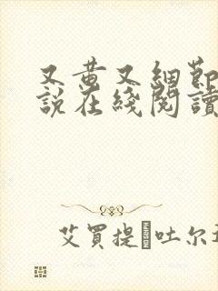 又黄又细节的小说在线阅读