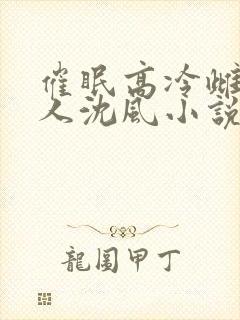 催眠高冷雌坠美人沈风小说最新章节