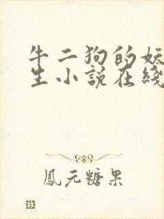 牛二狗的妖孽人生小说在线阅读