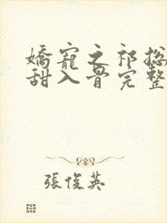 娇宠之祁总追妻甜入骨完整版封面