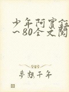 少年阿宾钰慧1～80全文阅读目录