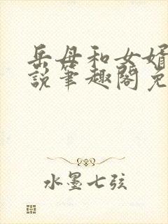 岳母和女婿的小说笔趣阁免费阅读全