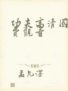 功夫高清国语免费观看