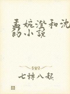 孟婉澄和沈听澜的小说