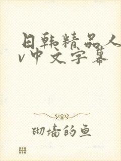 日韩精品人妻av中文字幕