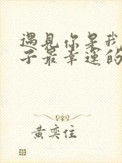 遇见你是我这辈子最幸运的事