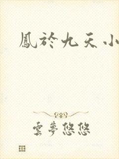 凤于九天小说