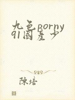九色porny91国产少