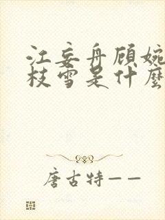 江妄舟顾婉禾宋枝雪是什么小说