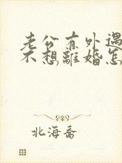 老公有外遇到我不想离婚怎么办