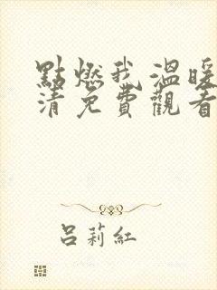 点燃我温暖你高清免费观看完整版