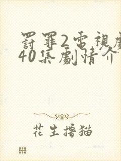 罚罪2电视剧全40集剧情介绍封面