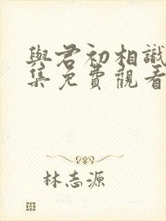 与君初相识31集免费观看封面