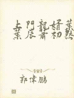 上门龙婿叶辰 叶辰萧初然最新