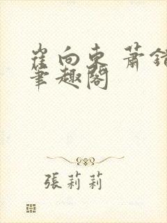 崔向东 萧错 笔趣阁