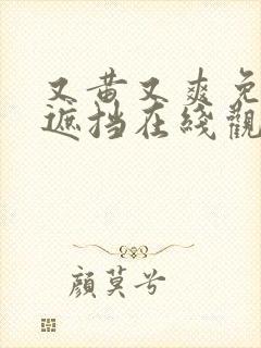 又黄又爽免费无遮挡在线观看