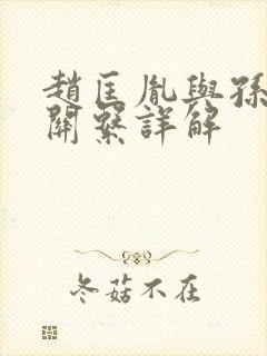 赵匡胤与孙太真关系详解