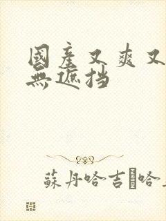 国产又爽又黄又无遮挡