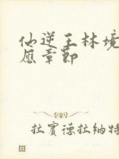 仙逆王林境界对应章节