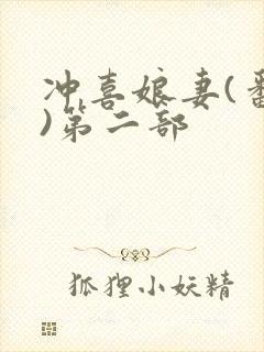冲喜娘妻(番外)第二部
