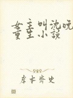 女主叫沈晚晚的重生小说