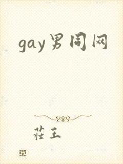 gay男同网