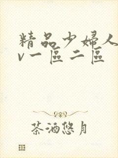 精品少妇人妻av一区二区