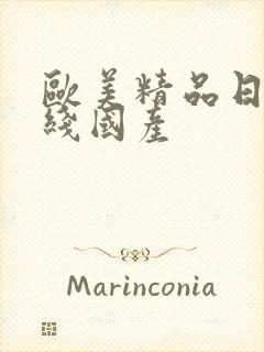 欧美精品日韩在线国产