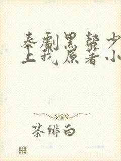 泰剧黑帮少爷爱上我原著小说封面