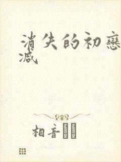 消失的初恋未删减封面