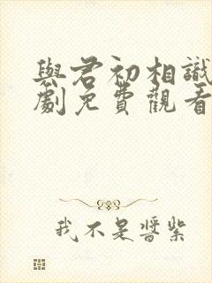 与君初相识电视剧免费观看全集完整版