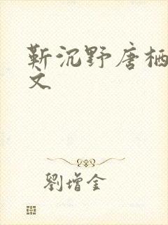 靳沉野唐栖雾全文