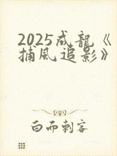 2025成龙《捕风追影》电影在线观看