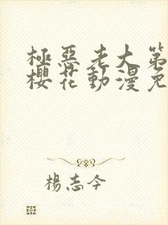 极恶老大第一季樱花动漫免费看