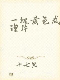 一级黄色成人伦理片